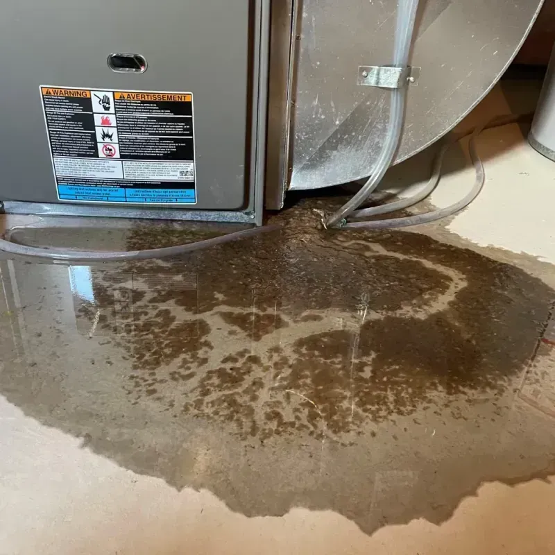 Appliance Leak Cleanup in Day Valley, CA